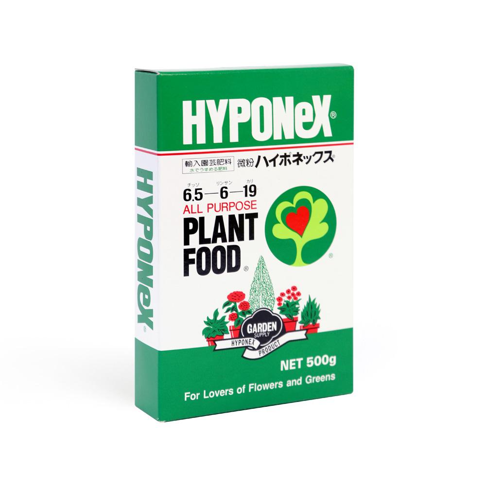 하이포넥스미분(500g)